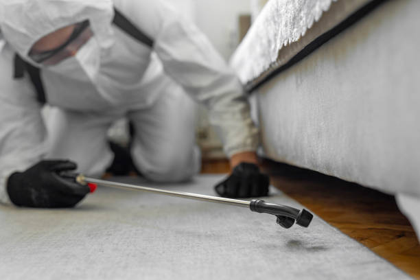 Professional Cockroach Control technician working in Baldwin, WI